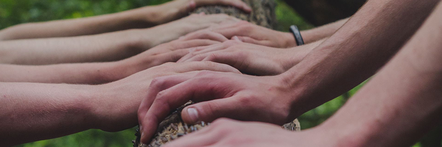 Grejs Borgerforening